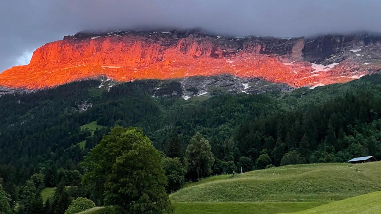 Ferienwohnung im Grünen Grindelwald Exterior foto